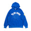 Sp5der Hoodie 3810