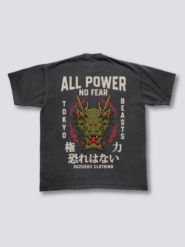 Fearless Dragon Vintage T-Shirt Hover Image