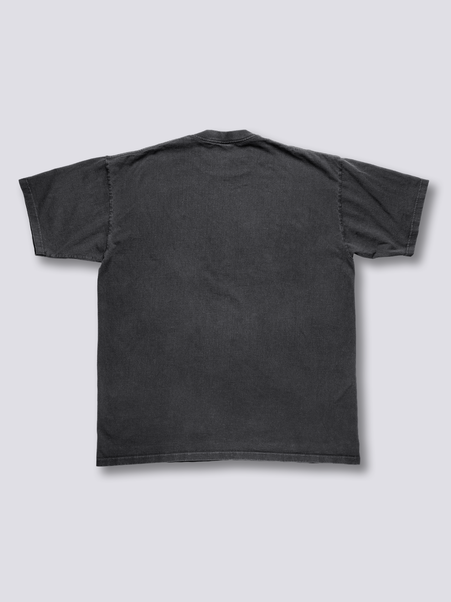 Front Print - Flying Cranes Vintage T-Shirt