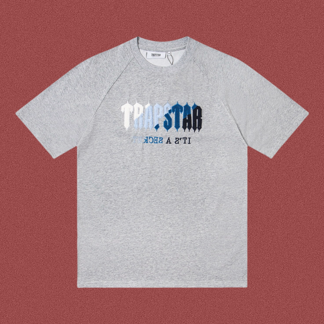 TRAPSTAR It's A Secret Terry Logo Grey T-Shirt Hover Image