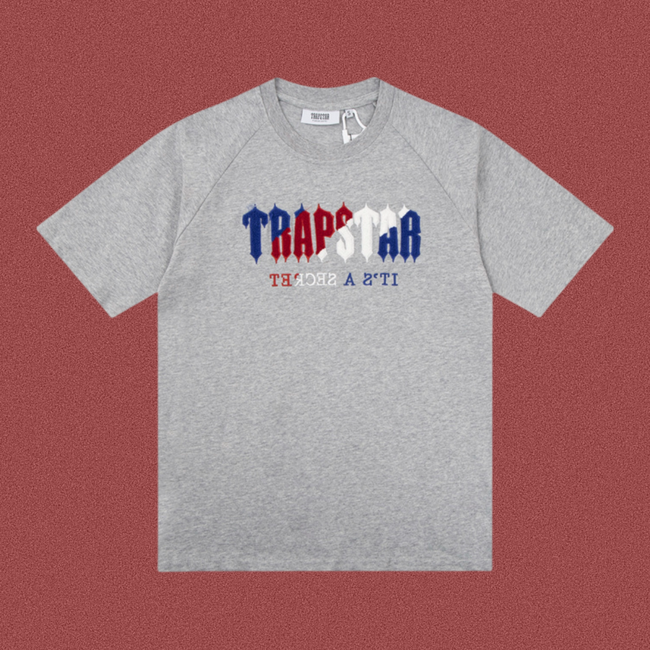 TRAPSTAR It's A Secret Multi Color Terry Logo Grey T-Shirt Hover Image